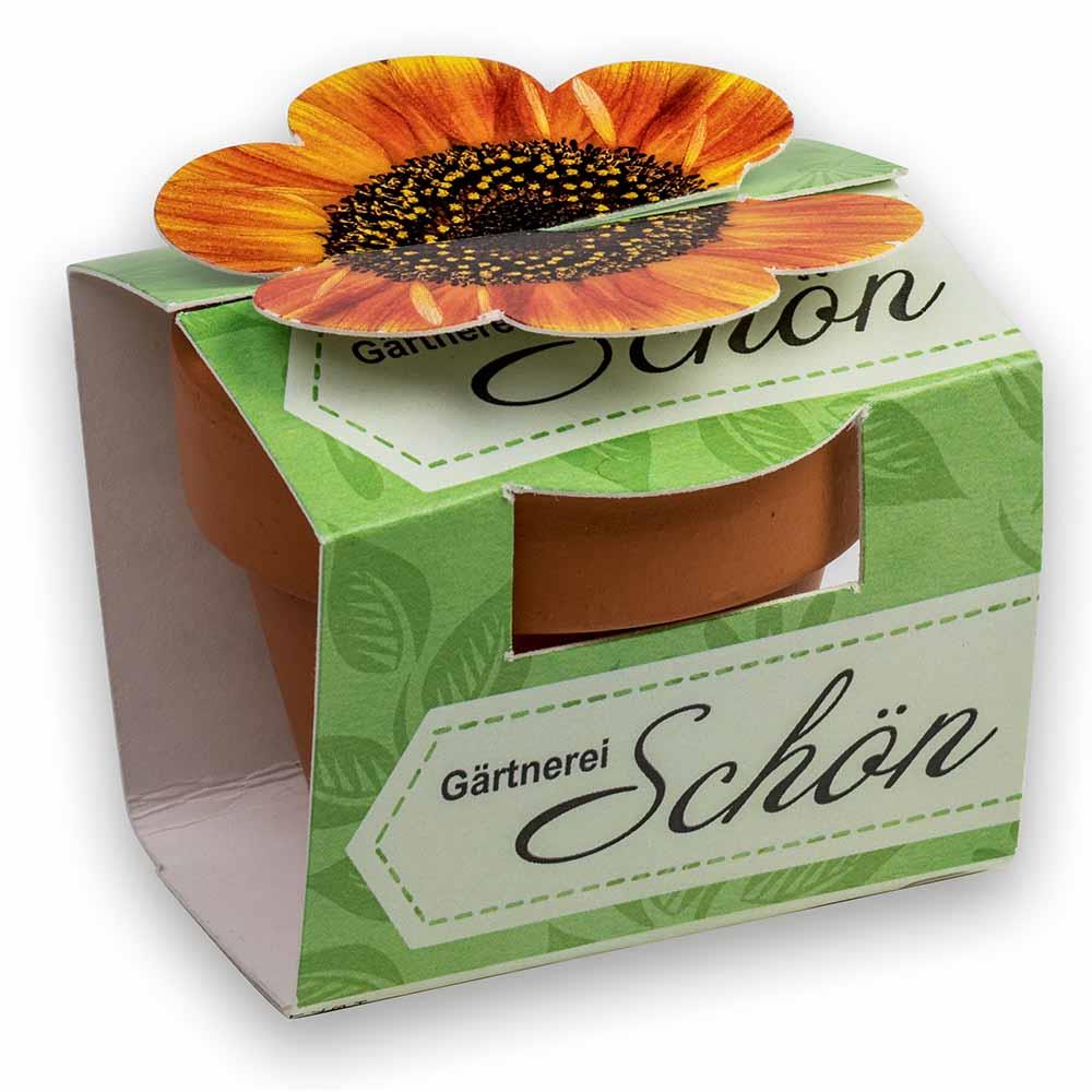 Tontöpfchen-Blume mit Samen - Ostern - Gewürzpaprika