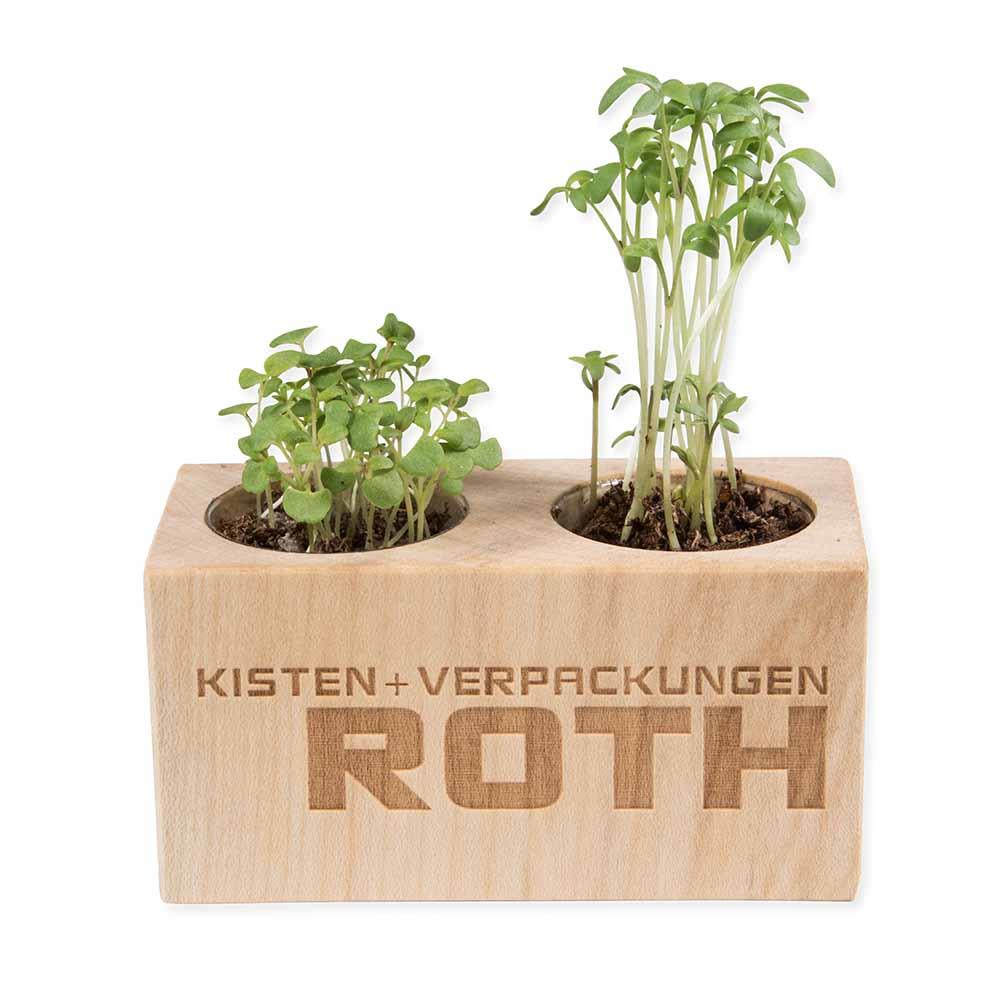 Pflanz-Holz 2er Set mit Samen - Persischer Klee, 2 Seiten gelasert
