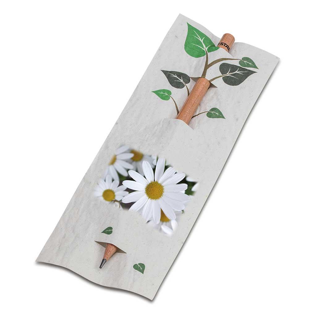 Bleistift im Samenpapieretui - Ostern - Margerite, Druck 4/0-c