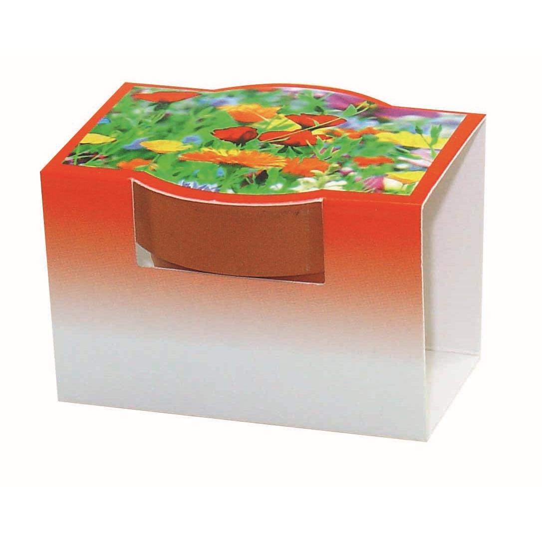 Tontöpfchen Bunte Blumenmischung