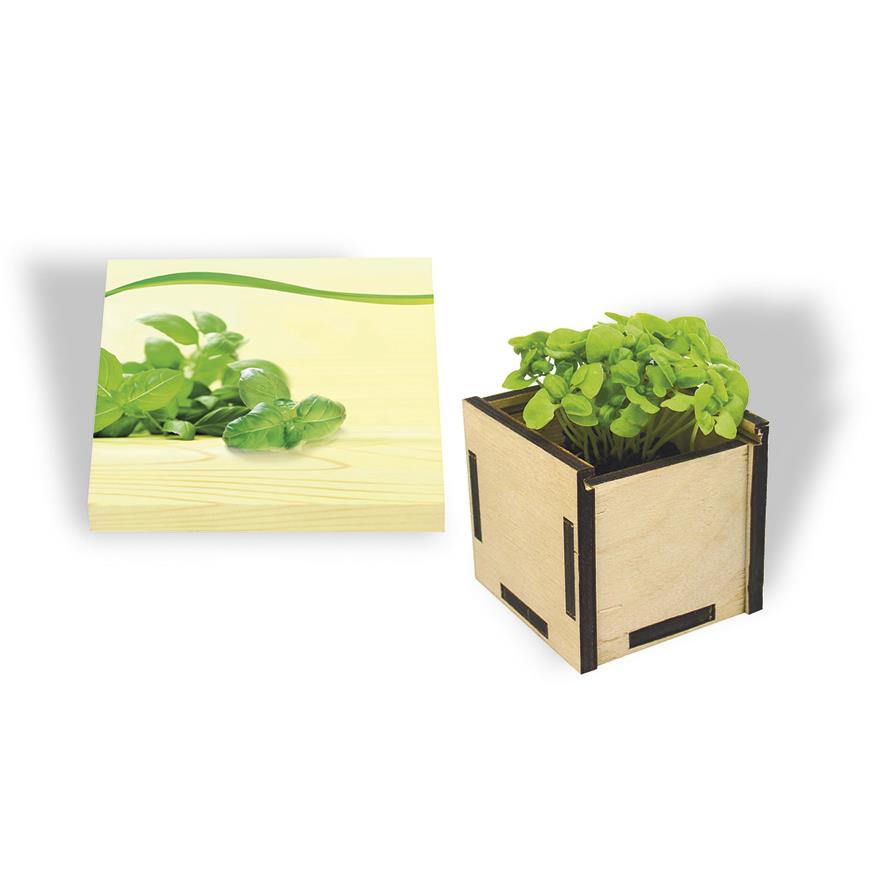 Pflanzsteckbox Green