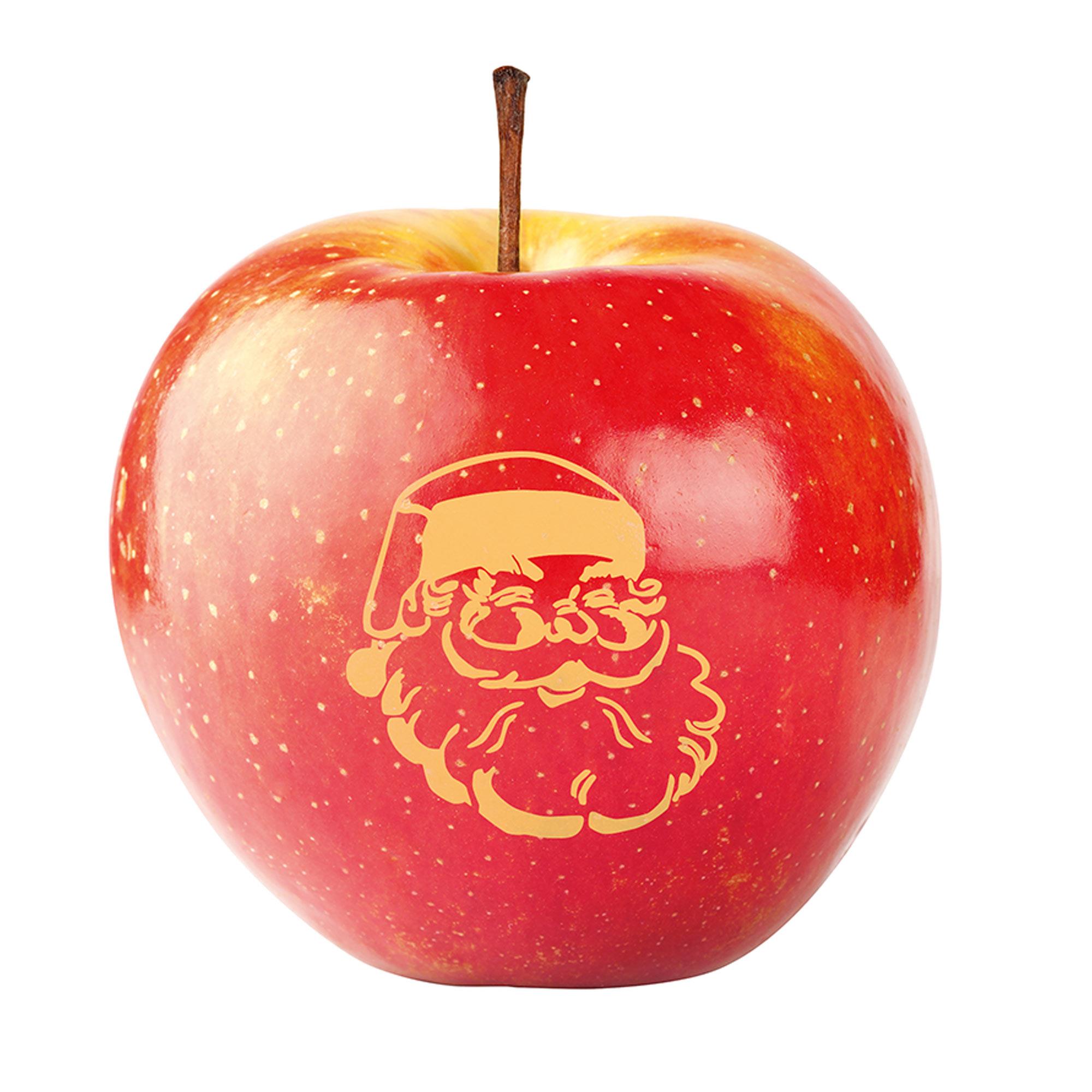 LogoFrucht Apfel Nikolaus