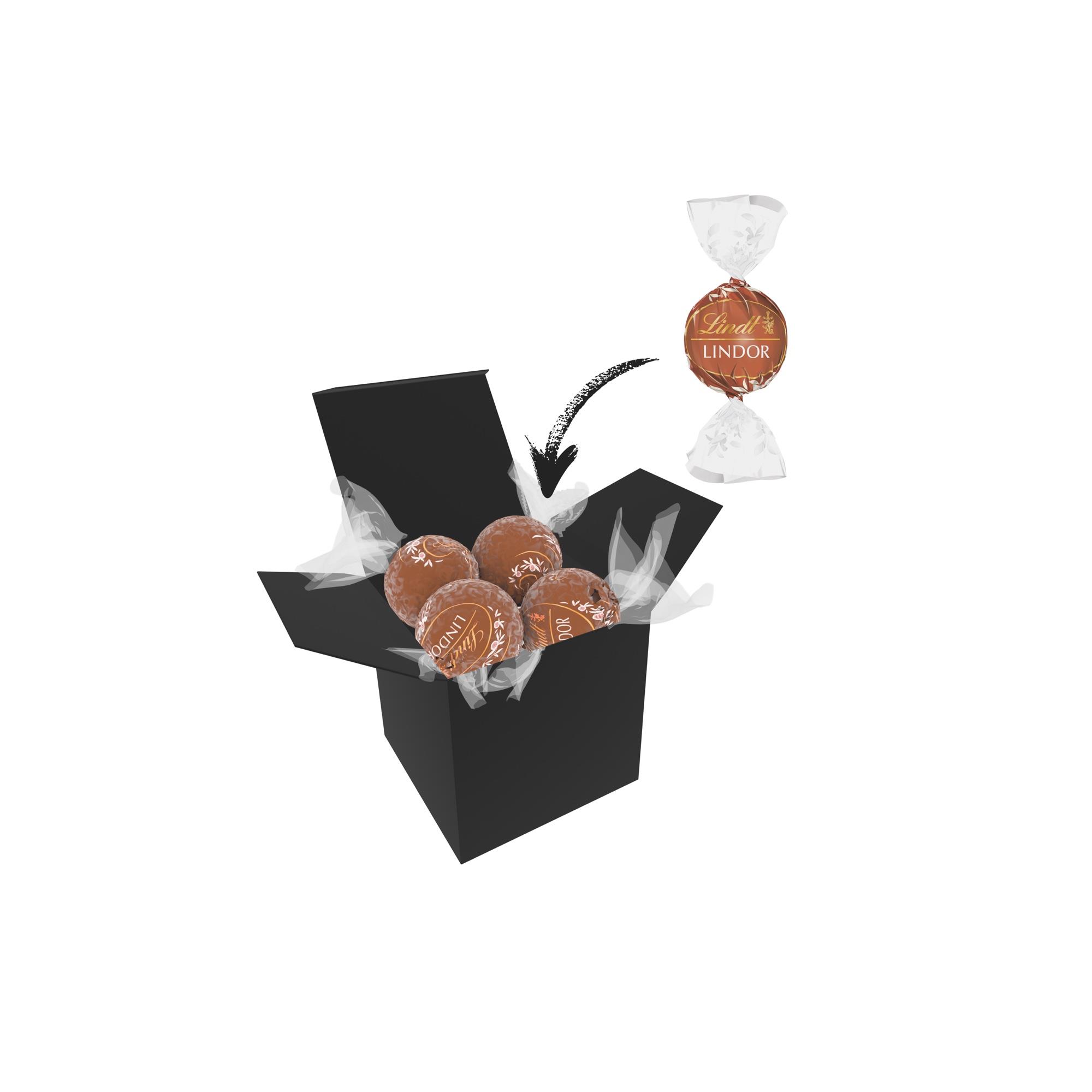 Color Lindor Box - Schwarz - Haselnuss