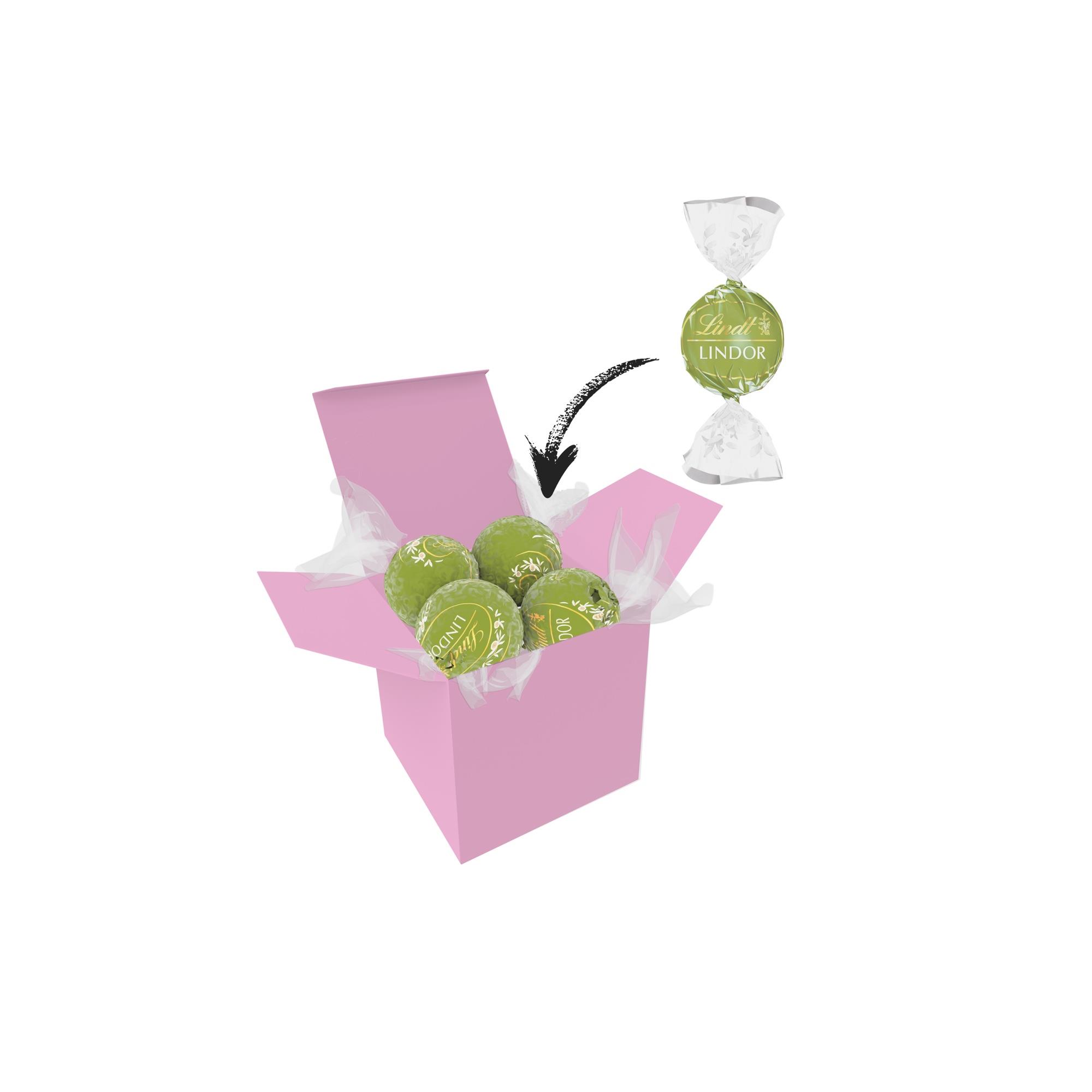 Color Lindor Box - Rosa - Pistazie