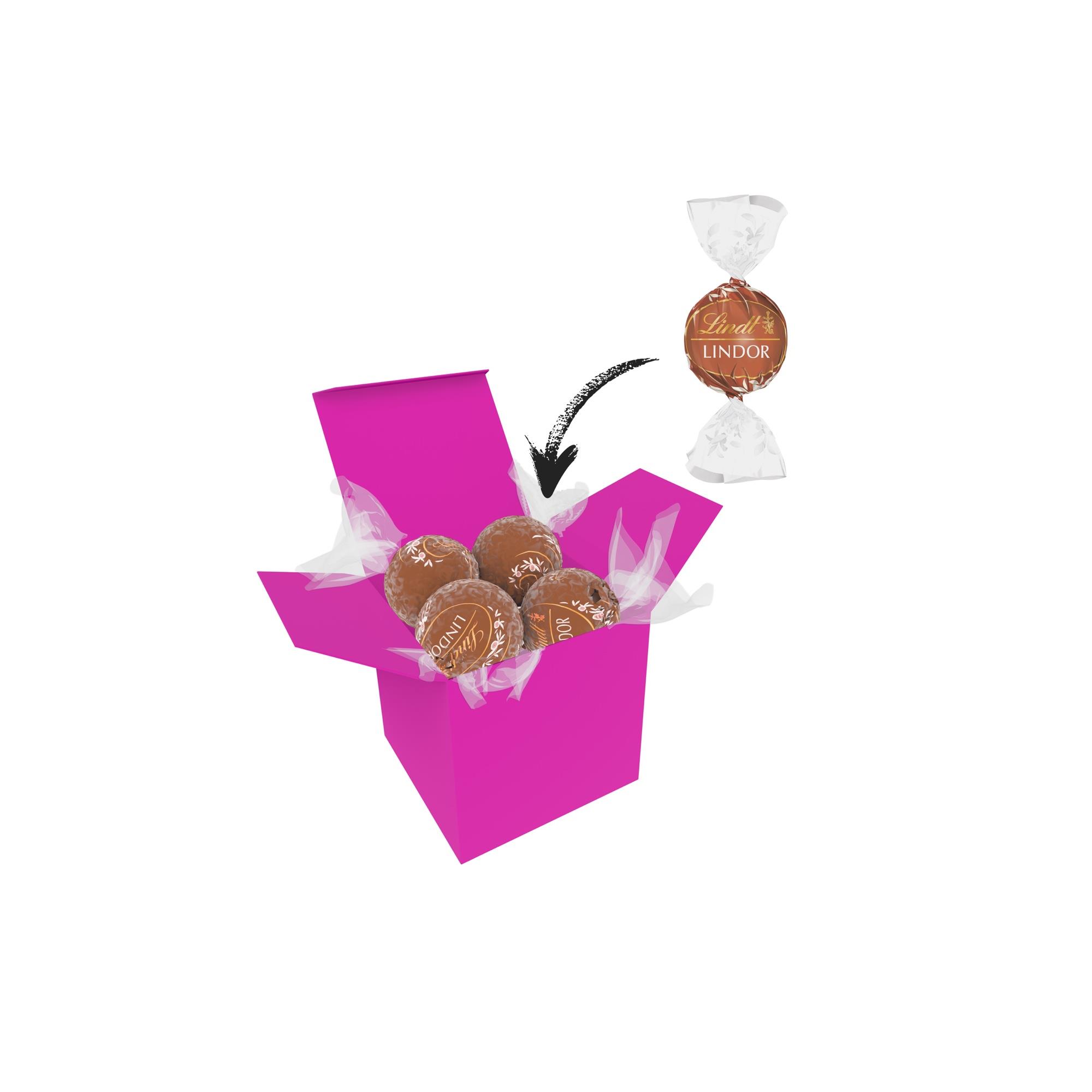 Color Lindor Box - Pink - Haselnuss