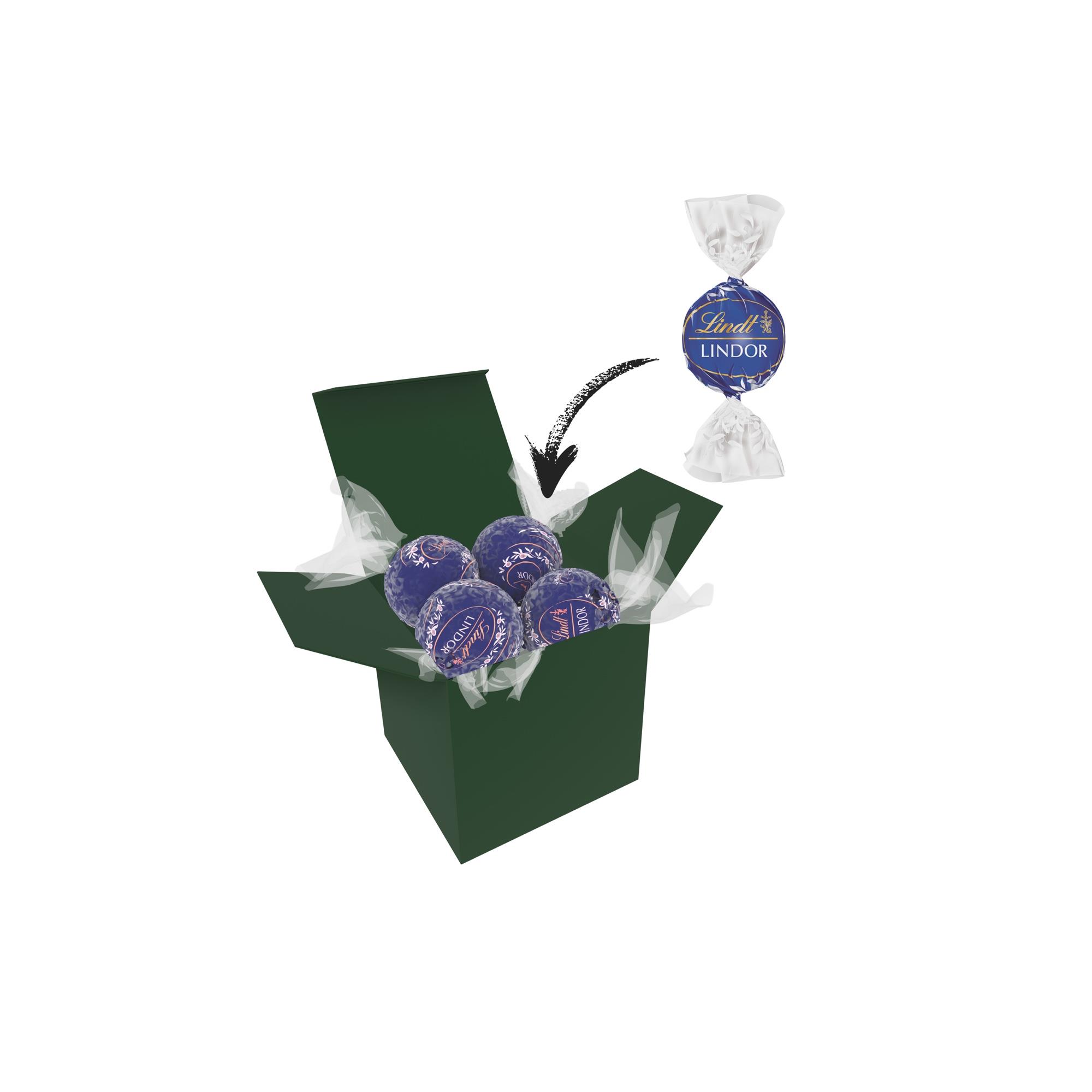 Color Lindor Box - Dunkelgrün - Feinherb
