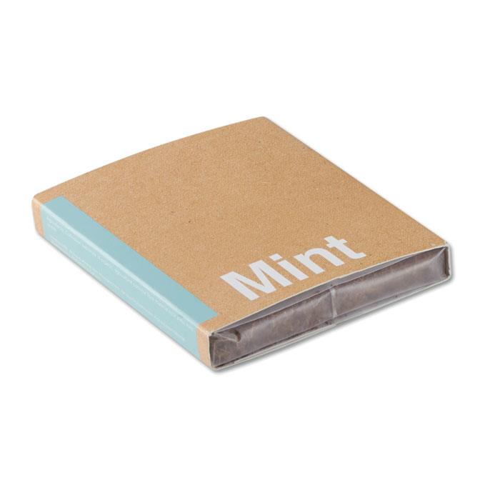 Pflanz-Set Minze