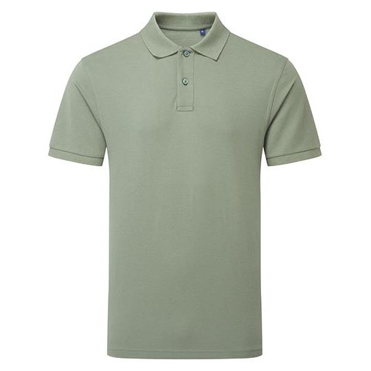 Fern