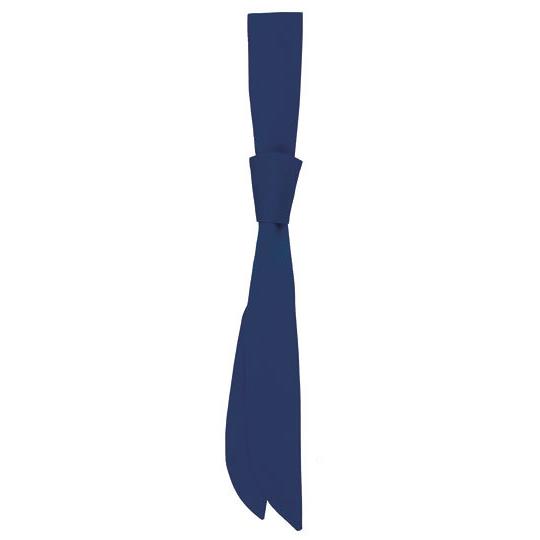 Navy (ca. Pantone 533C)