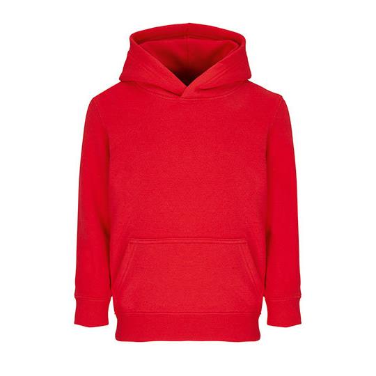 Kids Hoodie Condor