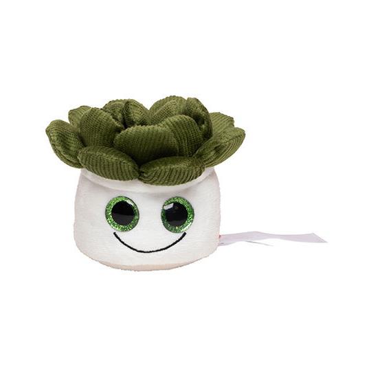 Schmoozies® Evergreenies® Sukkulente