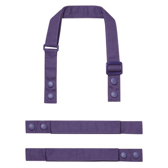 Purple (ca. Pantone 7447C)