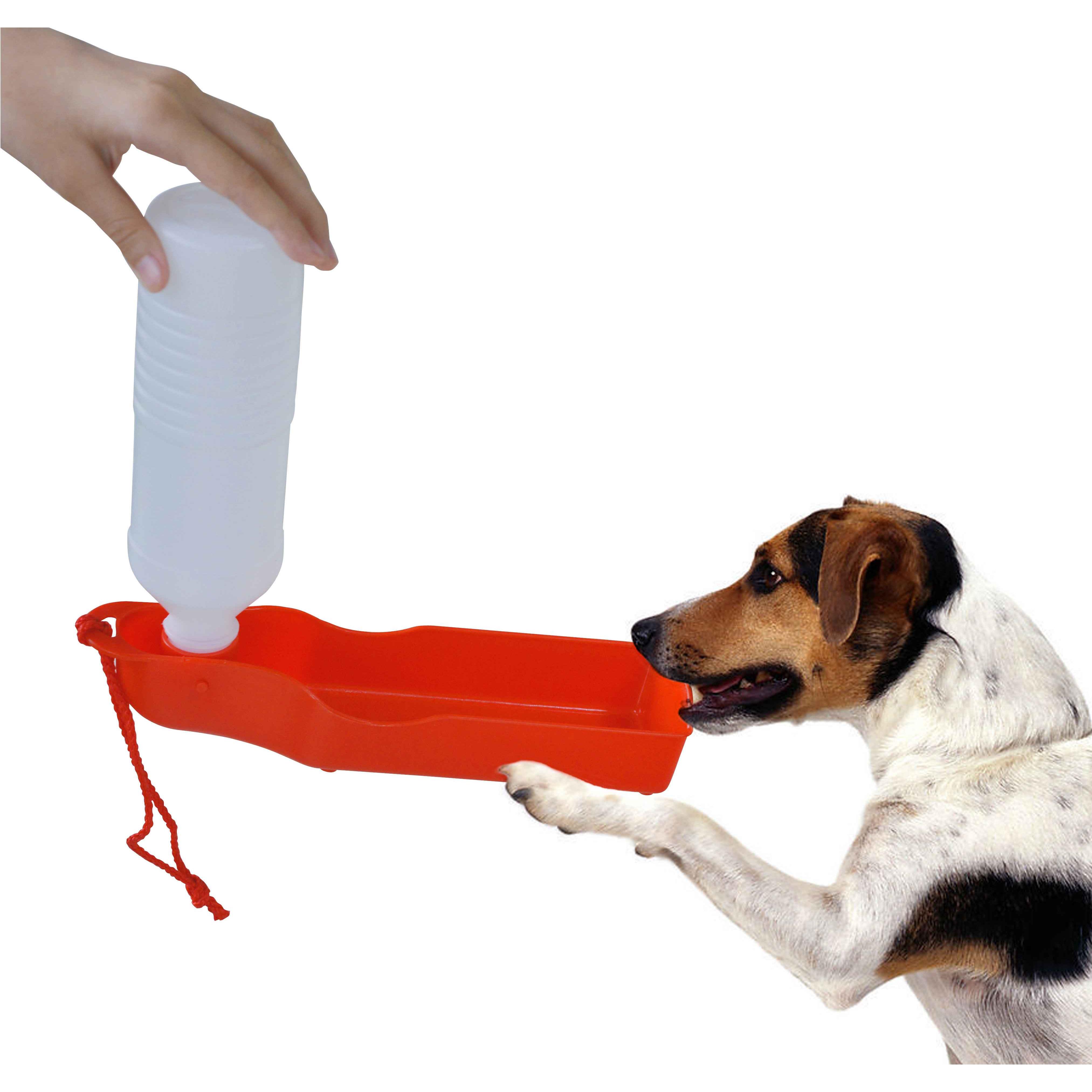 Trinkflasche Faltbar Barnie