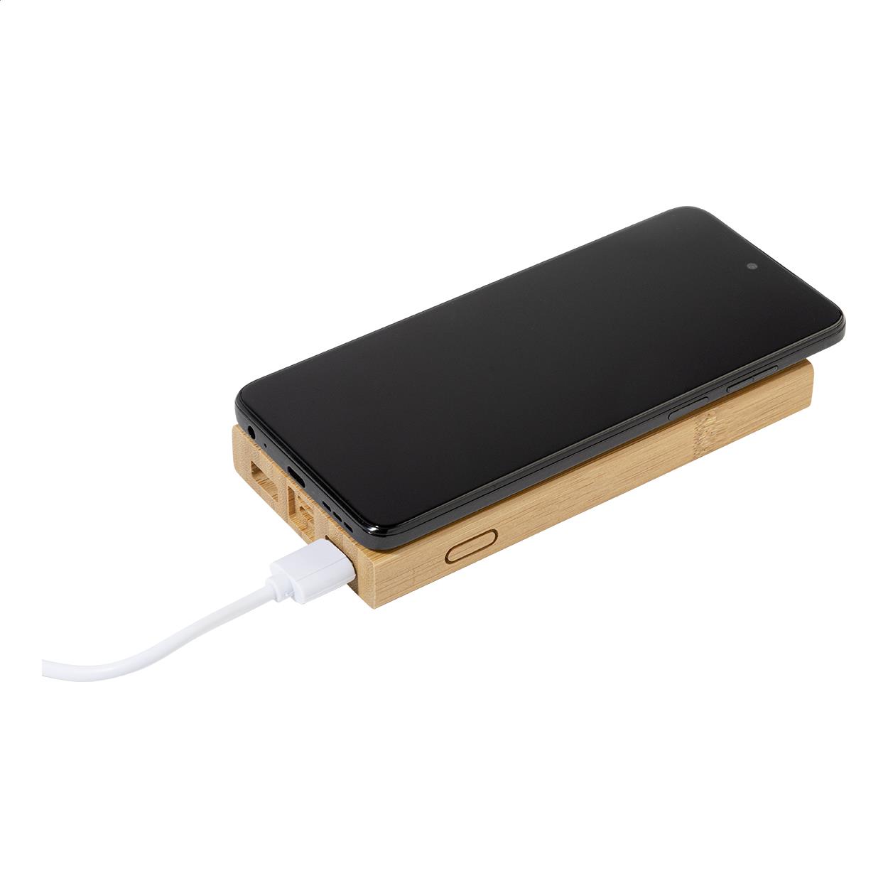 Powerbank