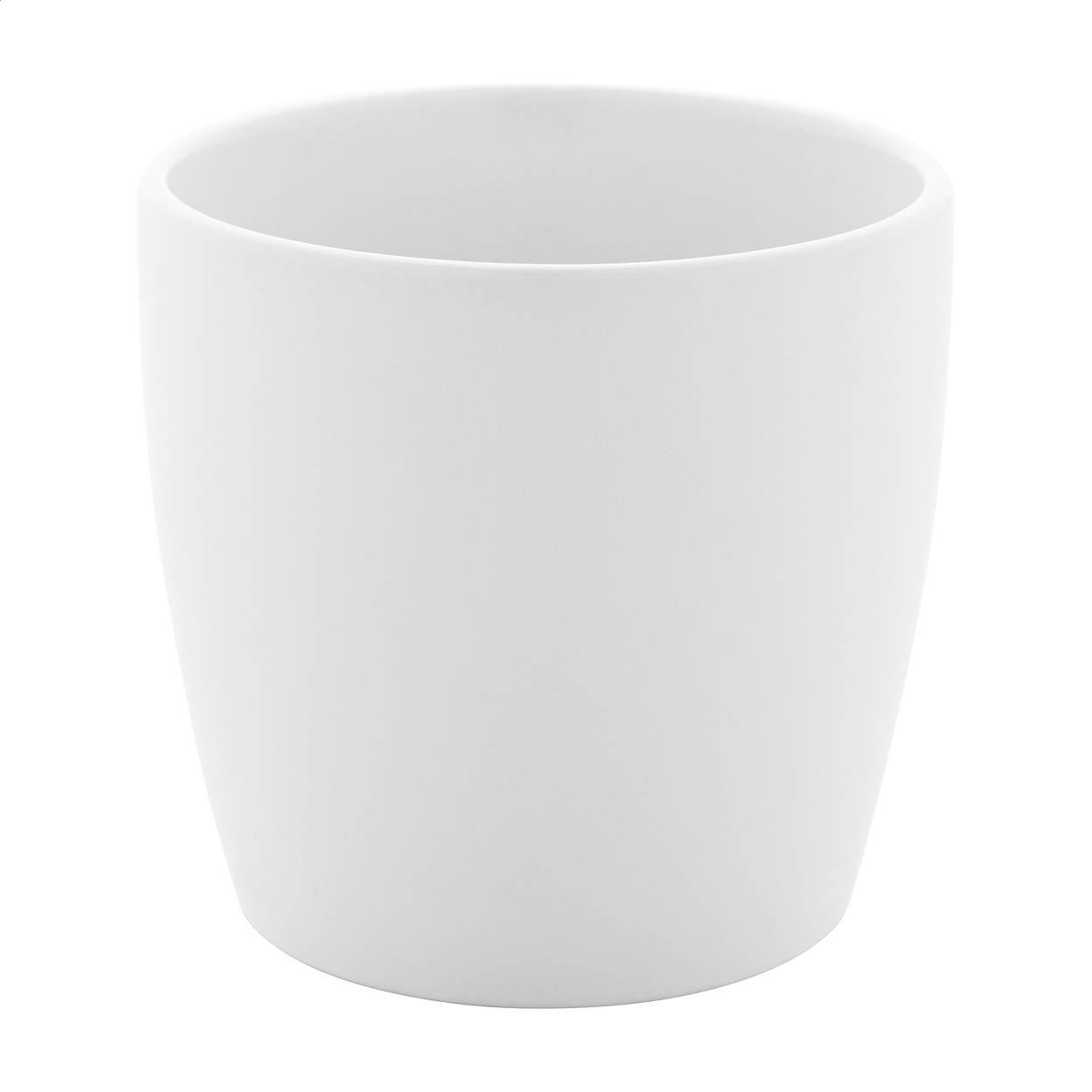 Tasse
