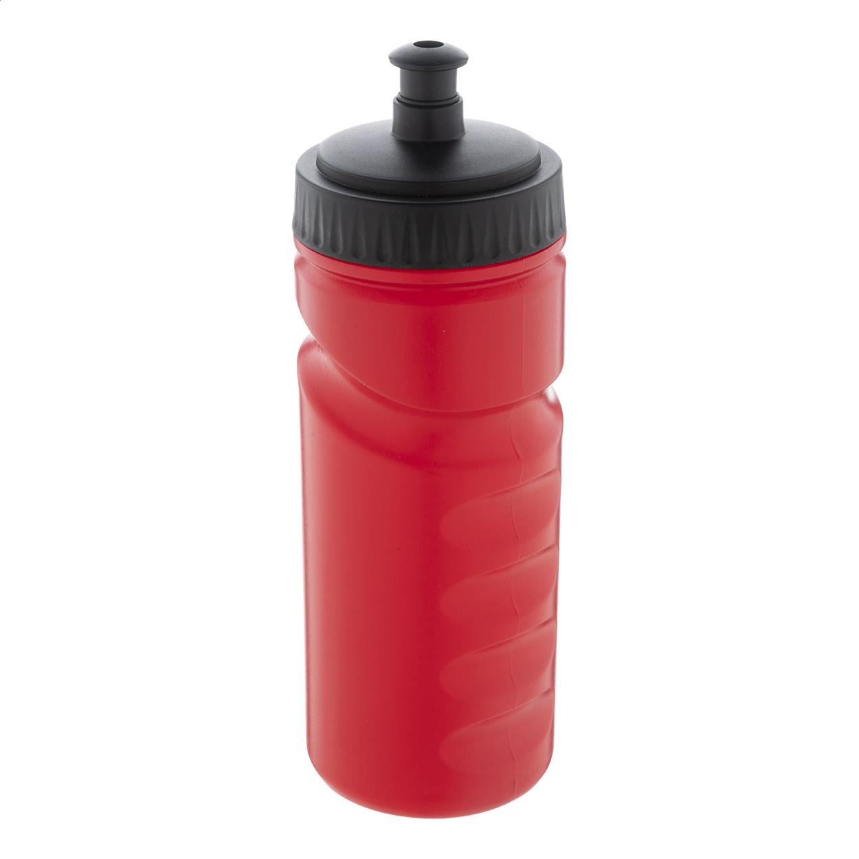 RPE-Sportflasche
