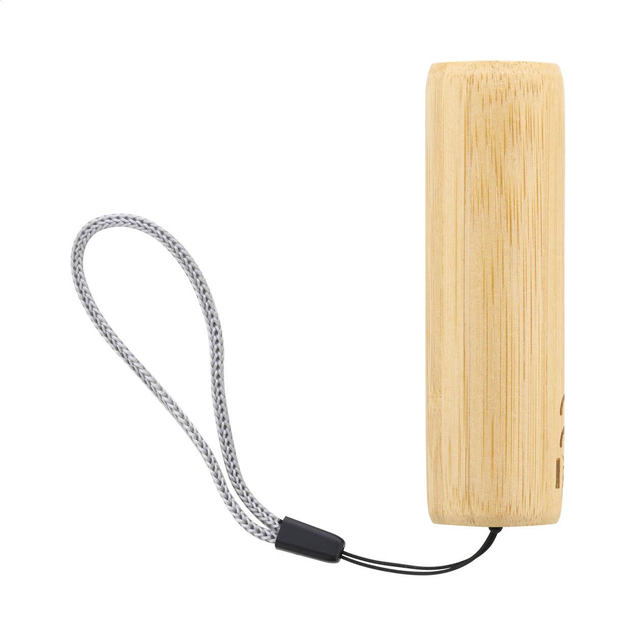 Akku-Taschenlampe