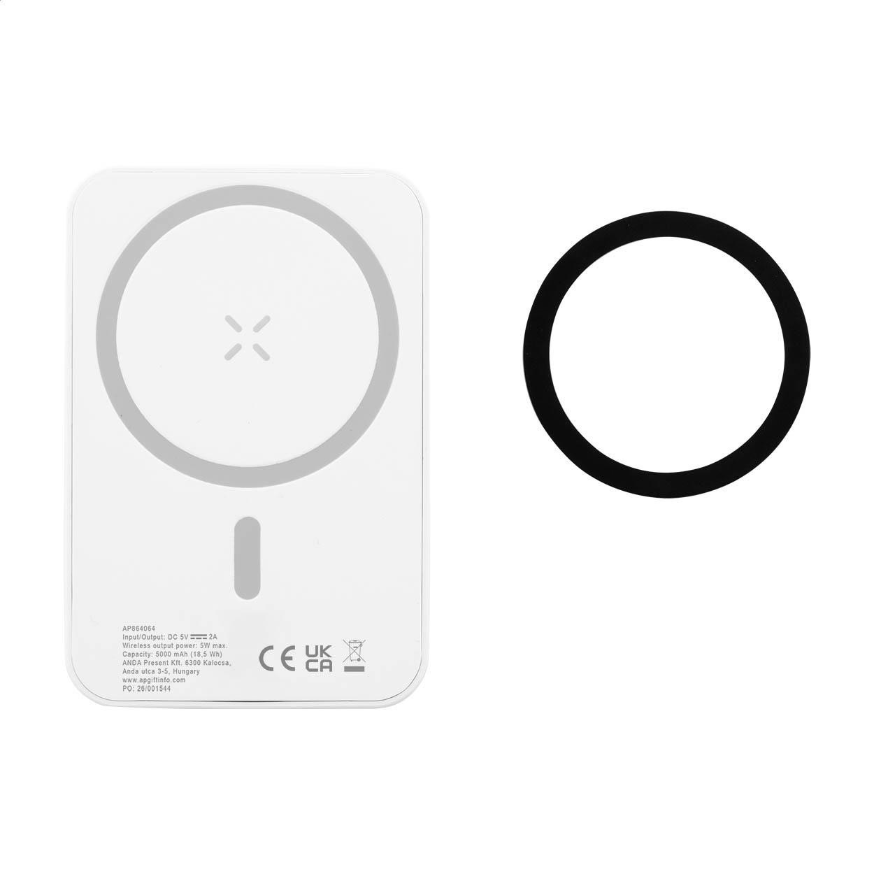 RABS Powerbank