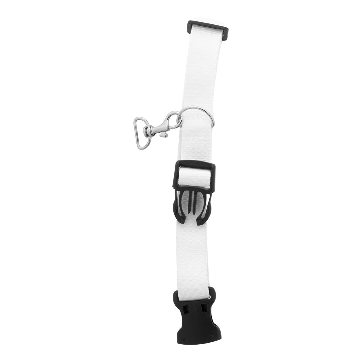 Individuelles Hundehalsband