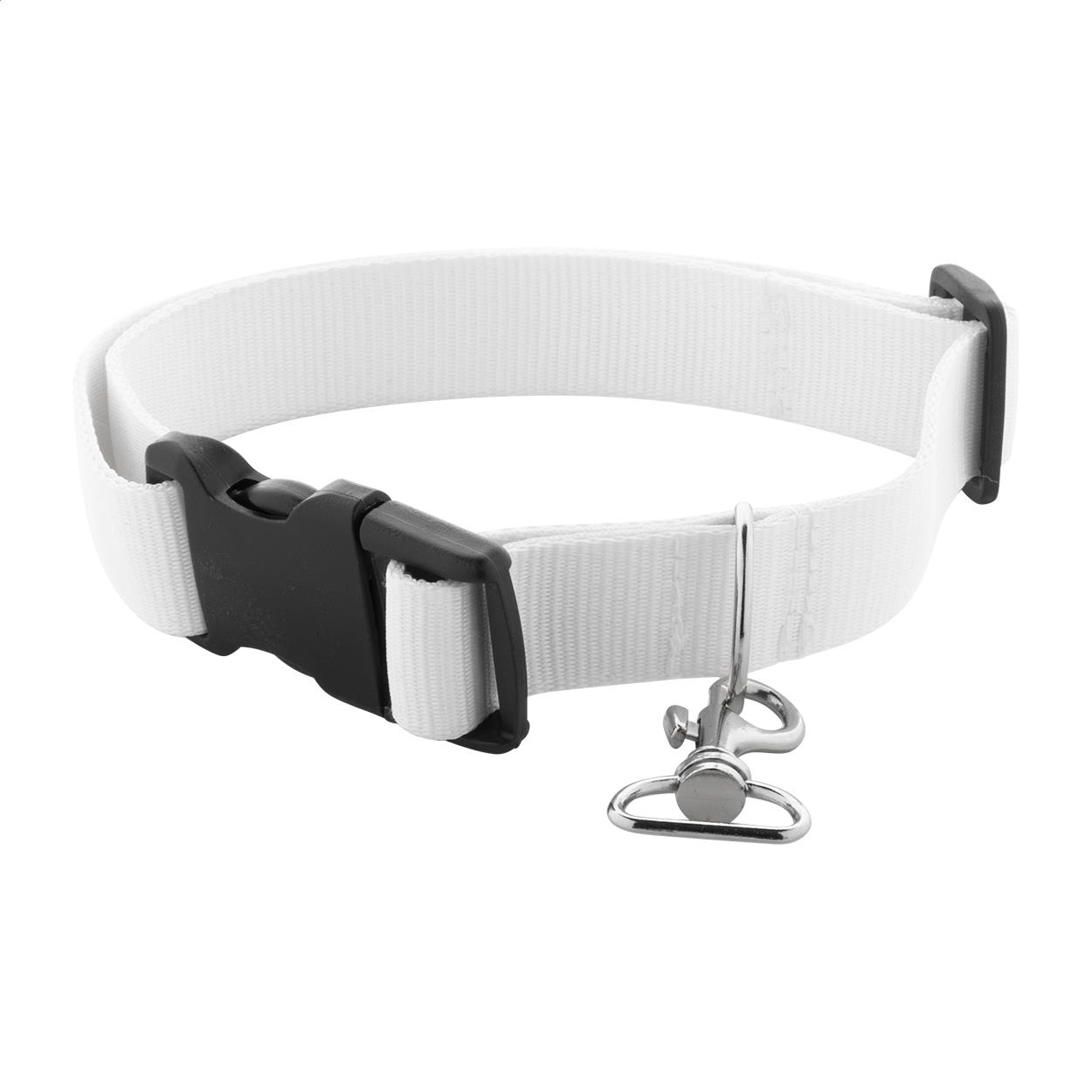 Individuelles Hundehalsband