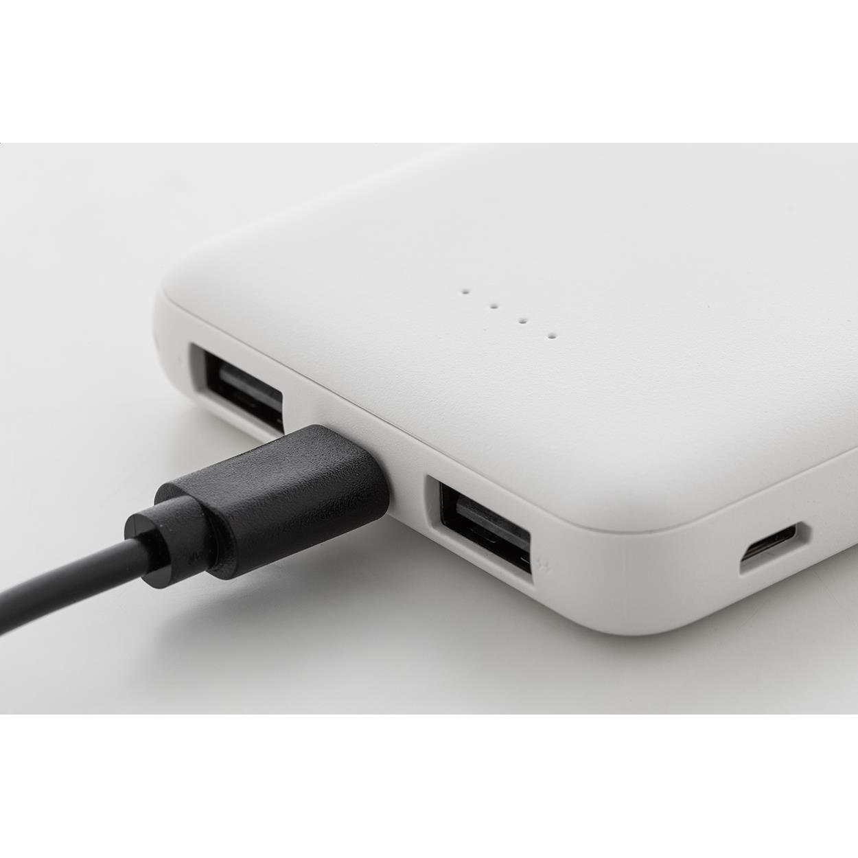 Powerbank RABS