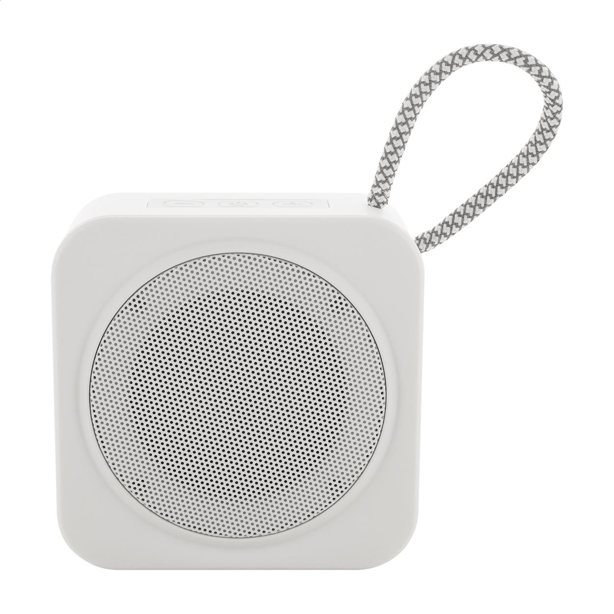 Funklautsprecher RABS
