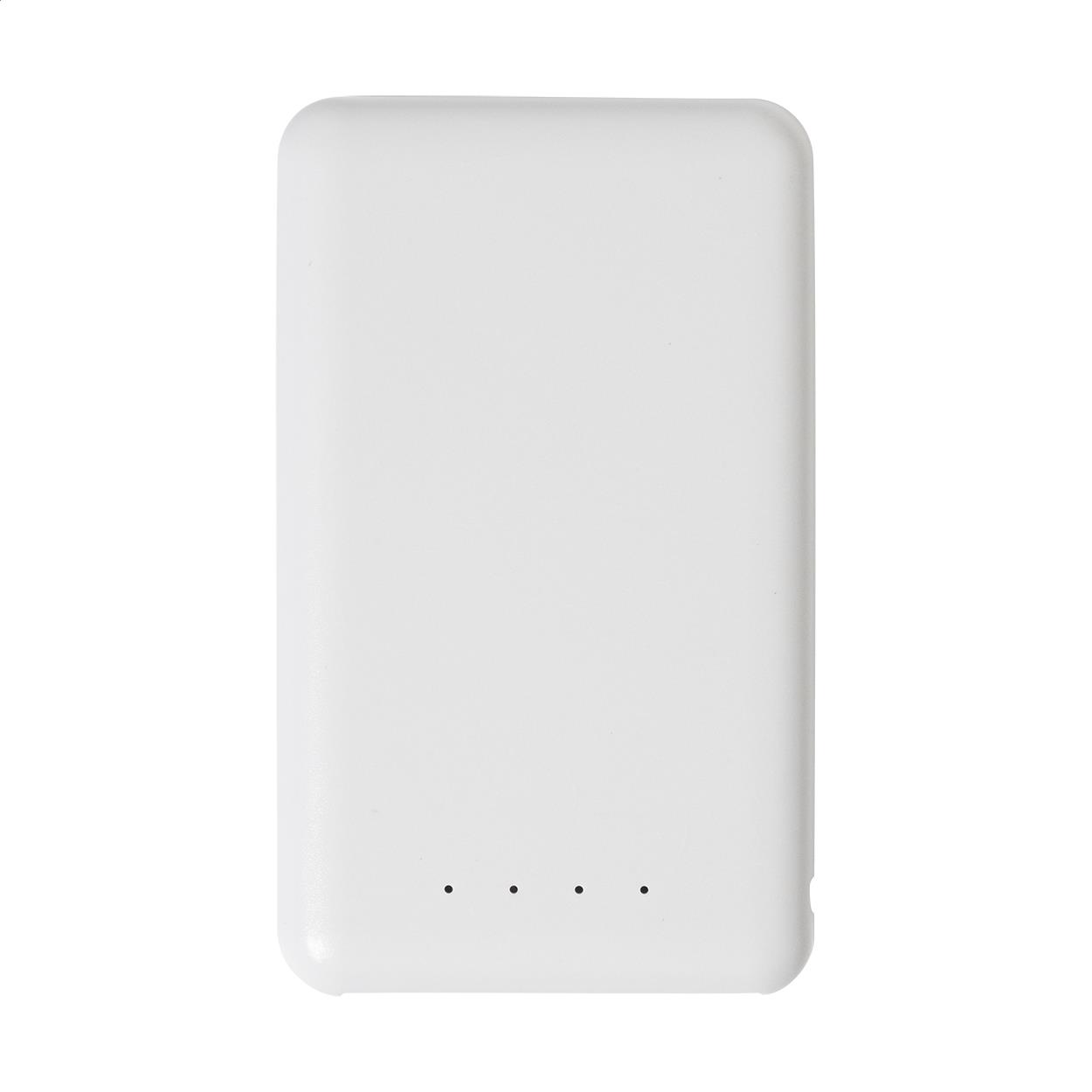 RABS-Powerbank