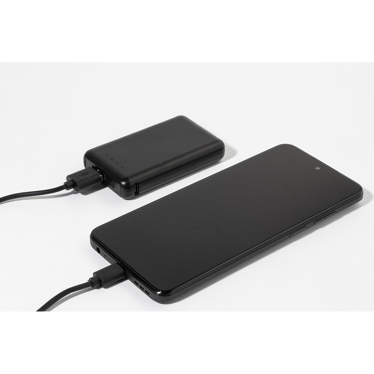 RABS-Powerbank