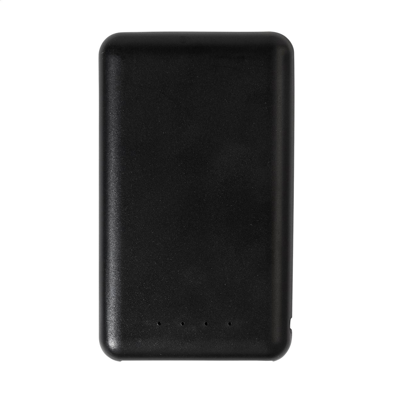 RABS-Powerbank