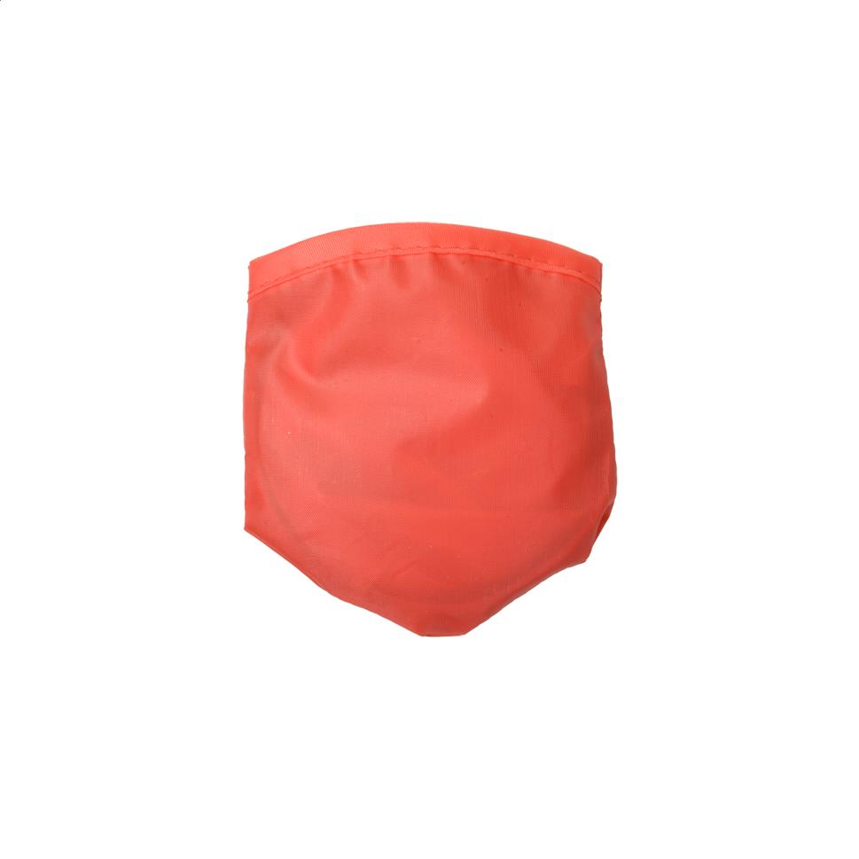 Frisbee