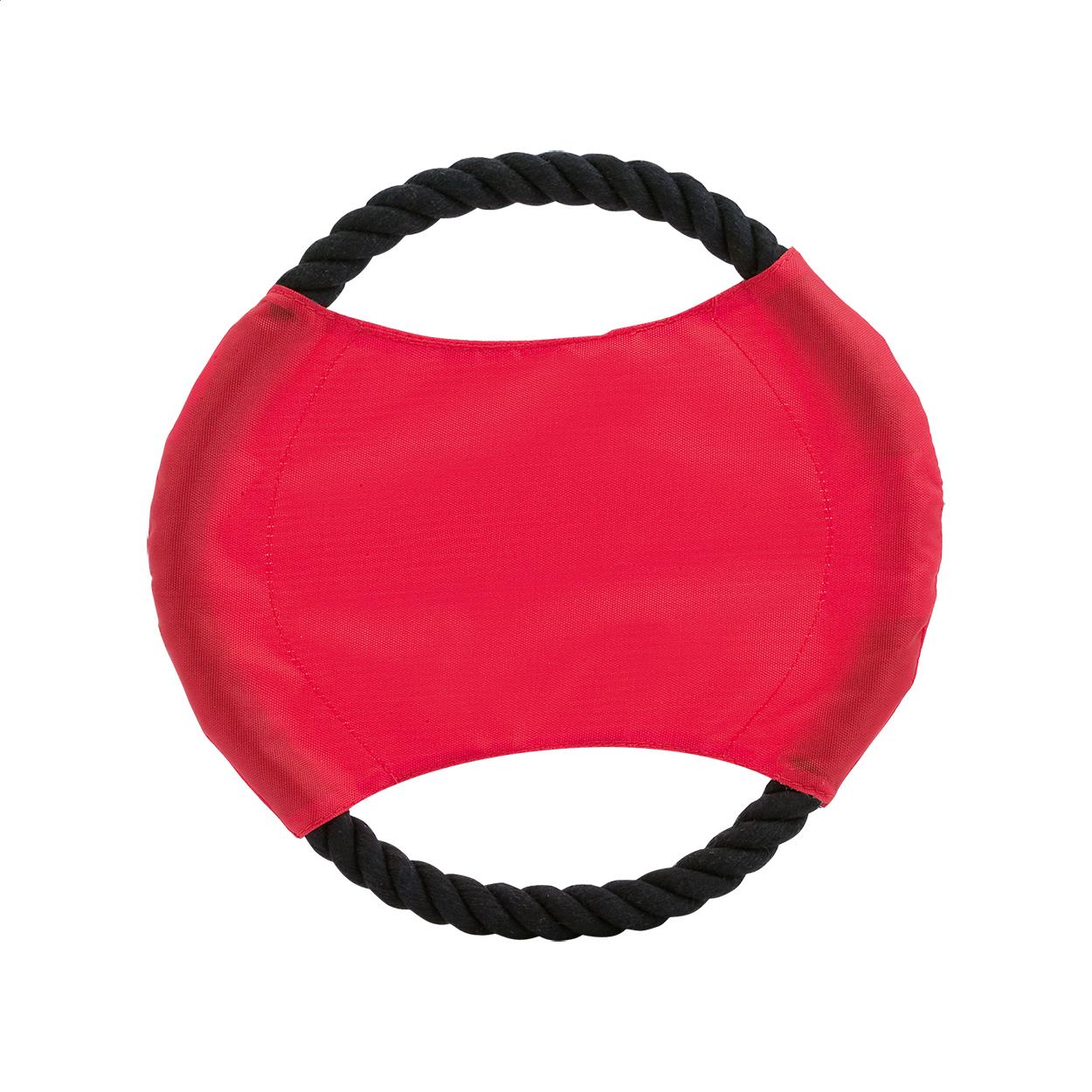 Frisbee