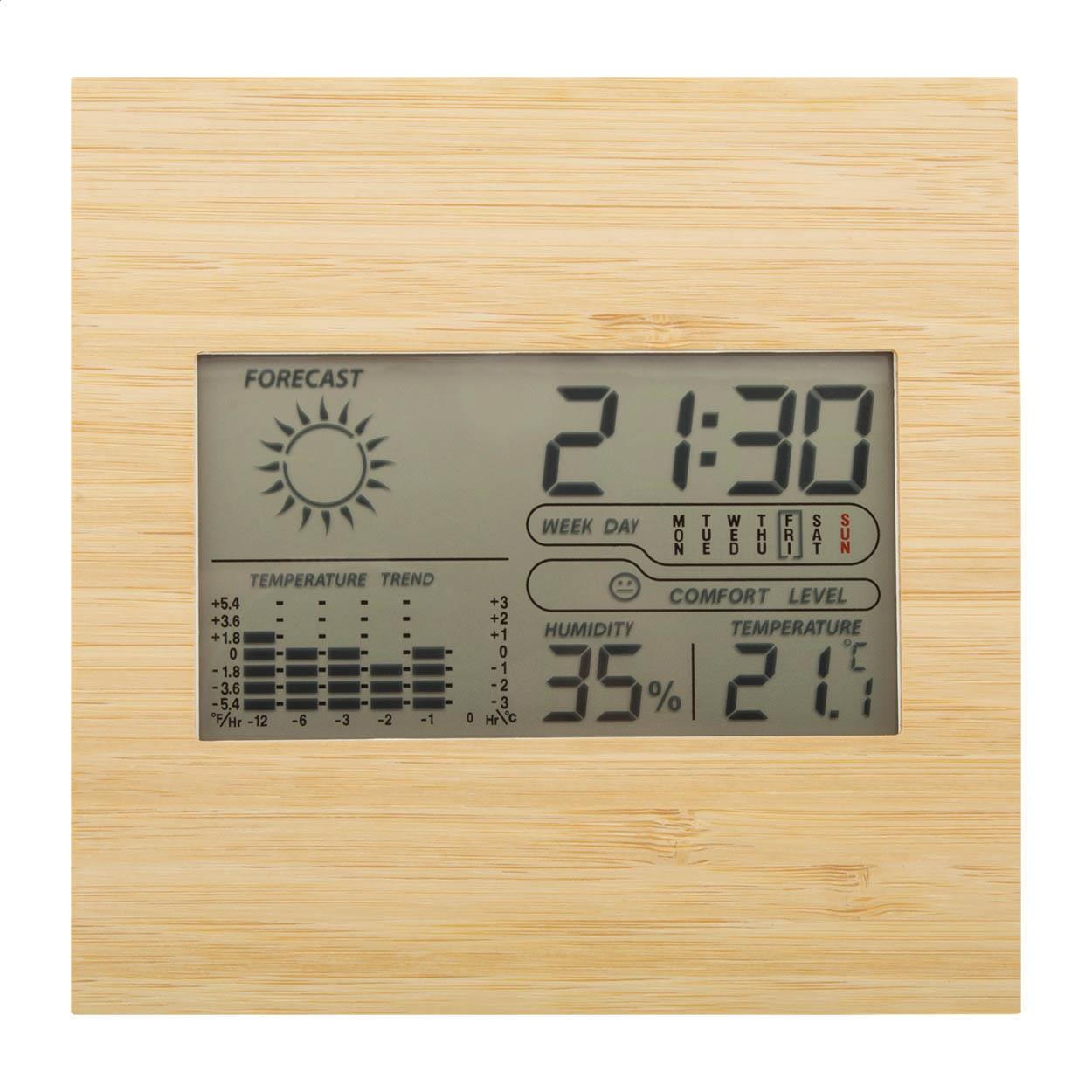 Wetterstation