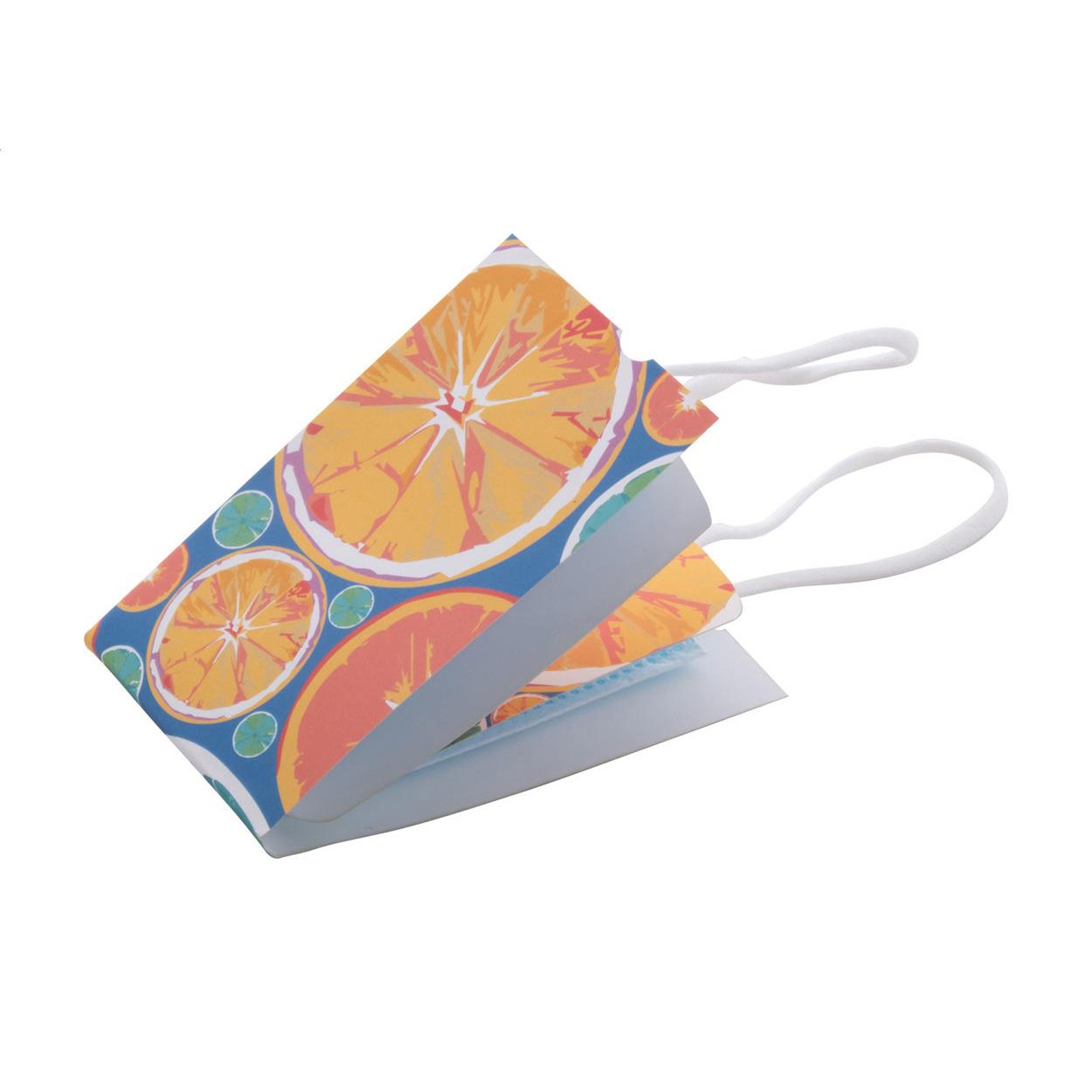 Gesichtsmasken-Etui