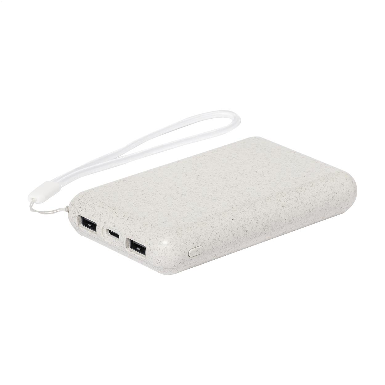 Powerbank