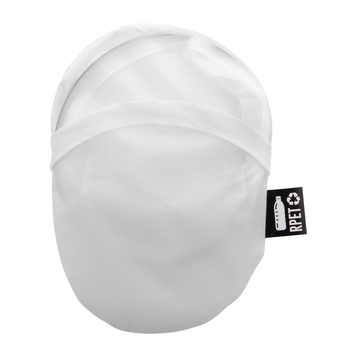 RPET-Frisbee