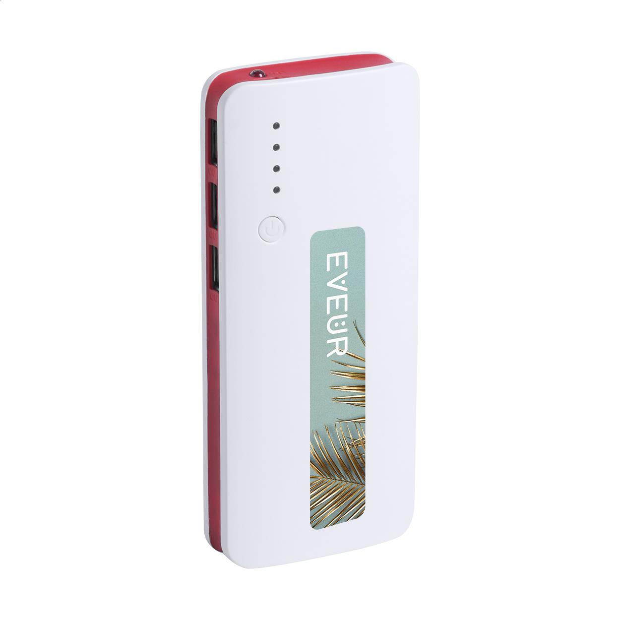 Powerbank