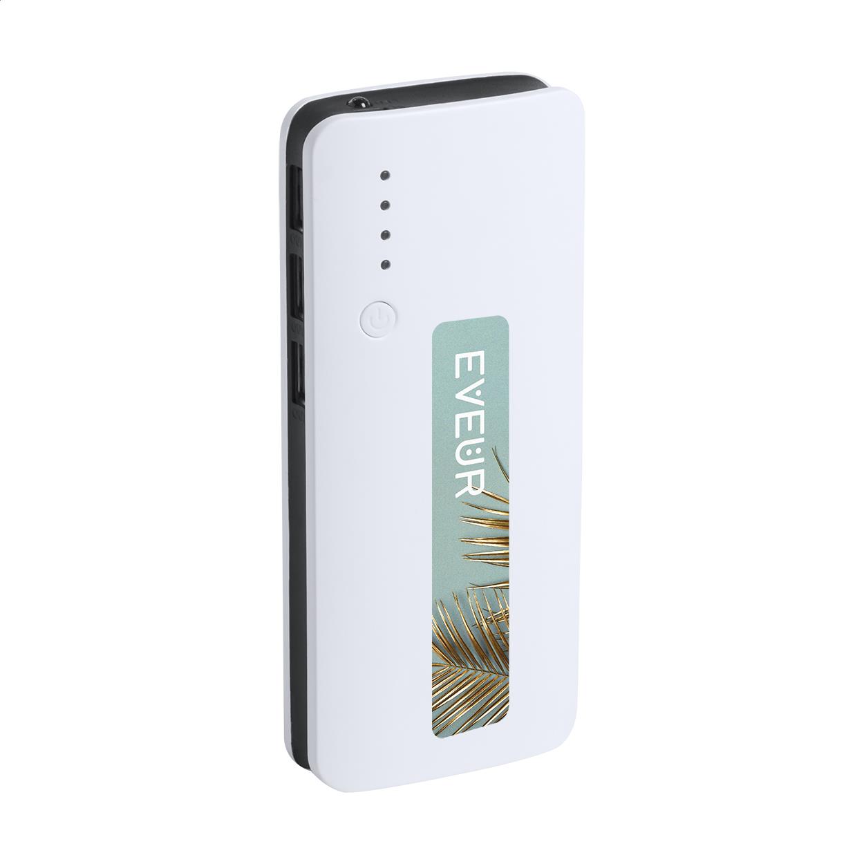 Powerbank
