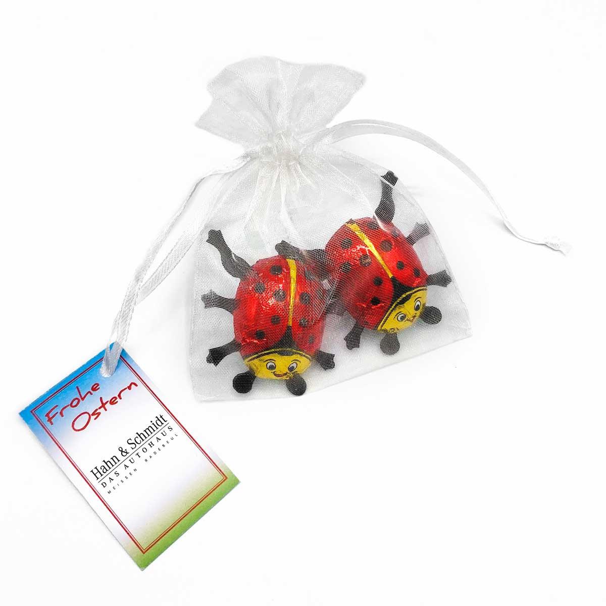 Organzasäckchen ´Good Luck´, mit Kärtchen