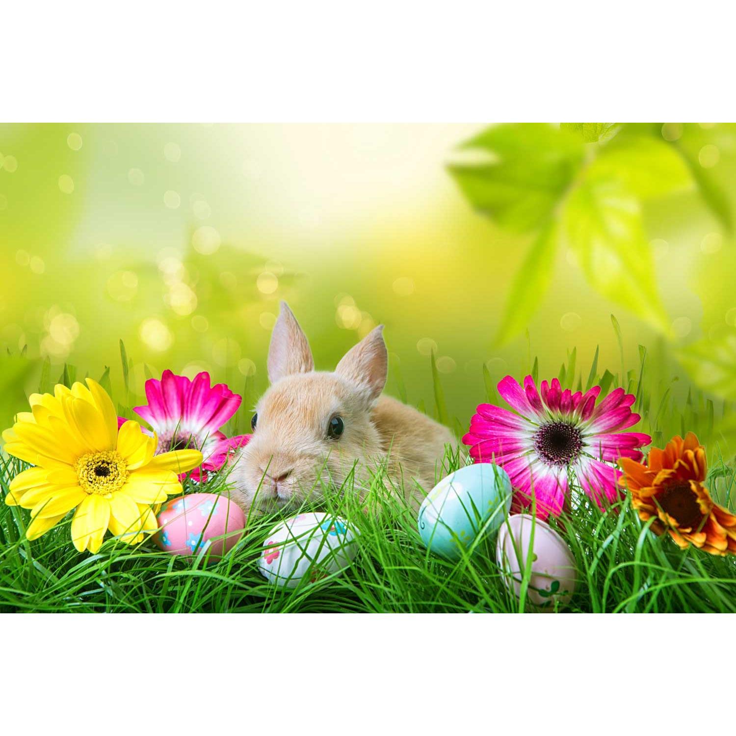 Organzasäckchen HASE, mit Grußkärtchen