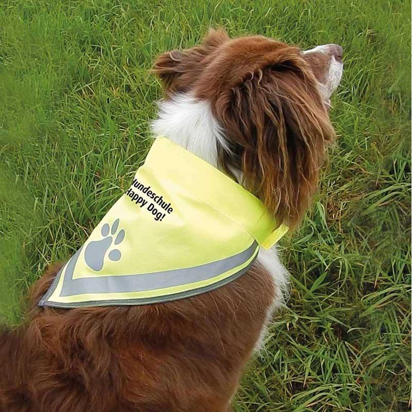 Hundehalstuch PAW | Preis auf Anfrage