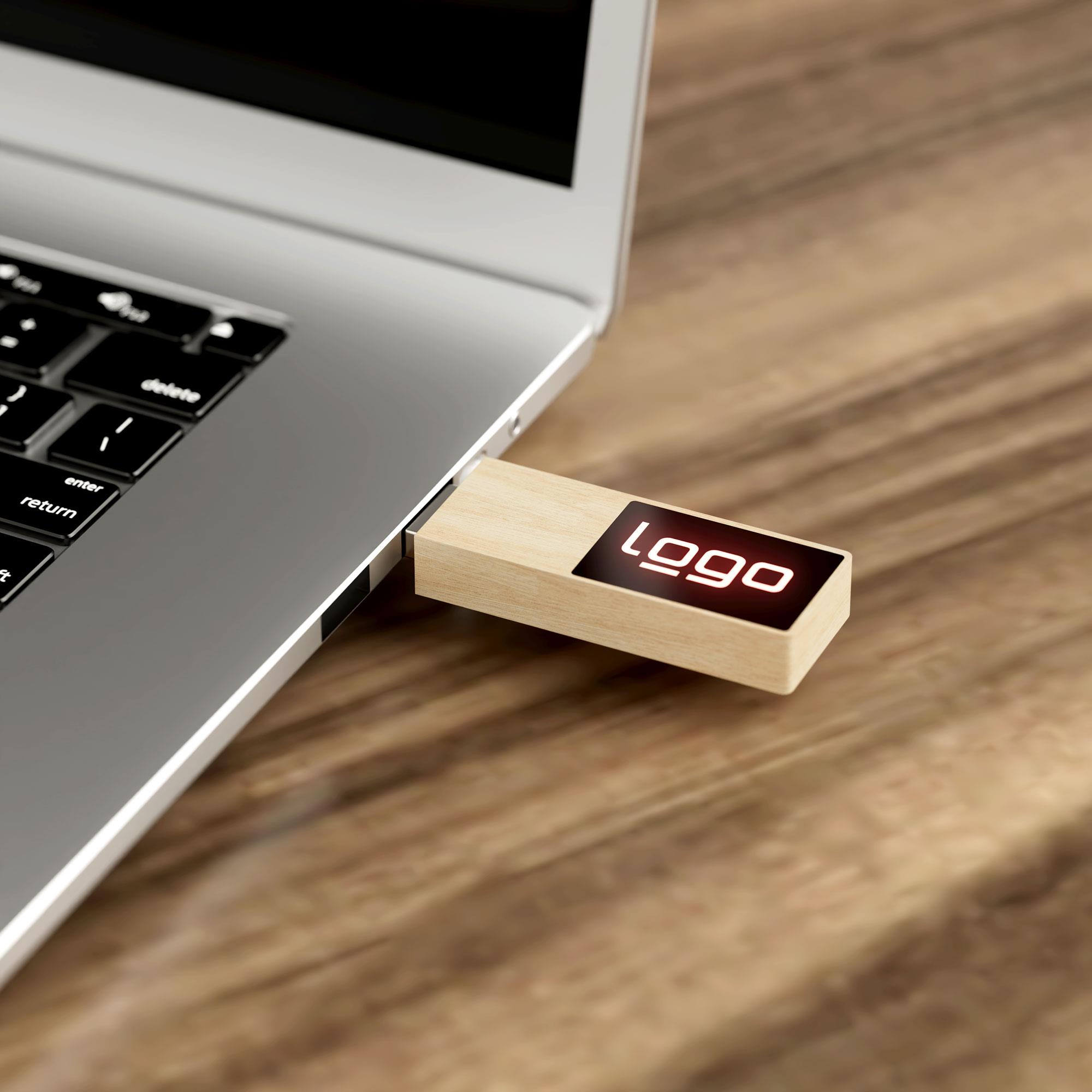 USB Stick Woodshine