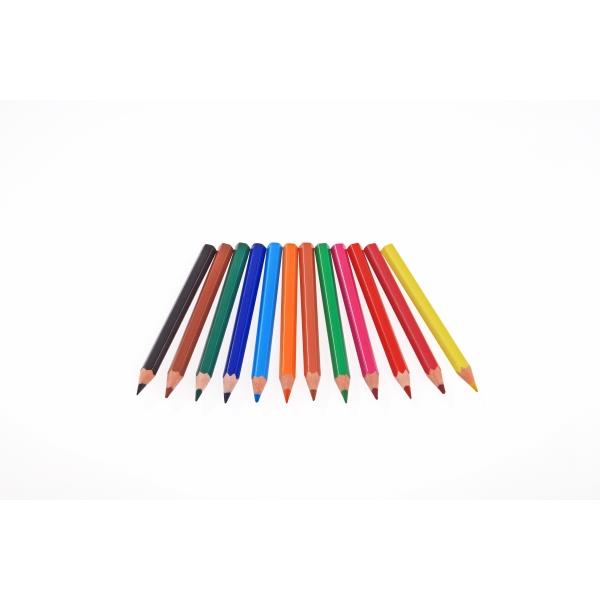 12 Buntstifte, kurz COLOR