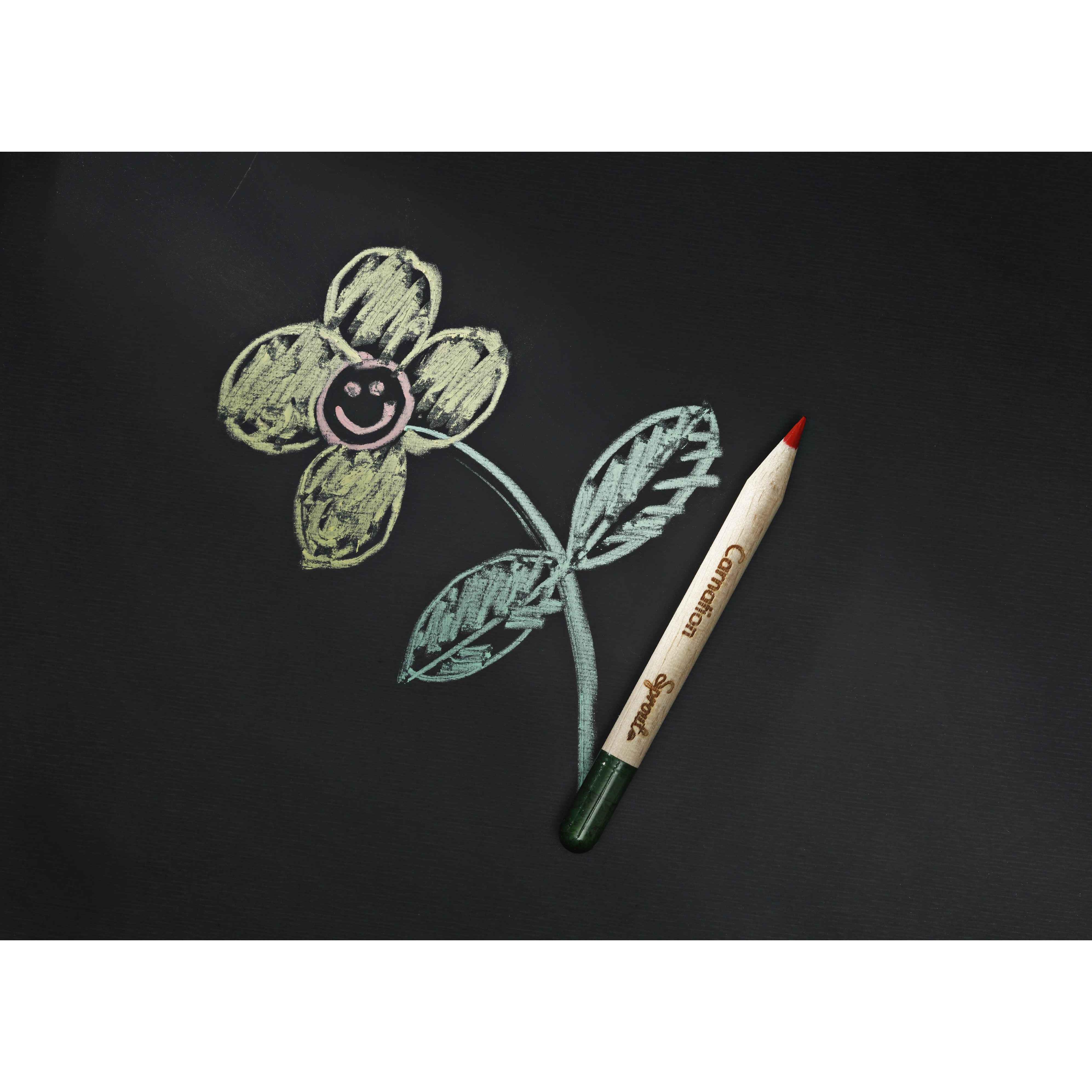 SPROUT - Farbstift mit Etui