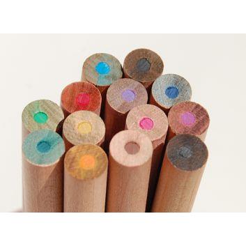 SPROUT - Farbstift mit Etui