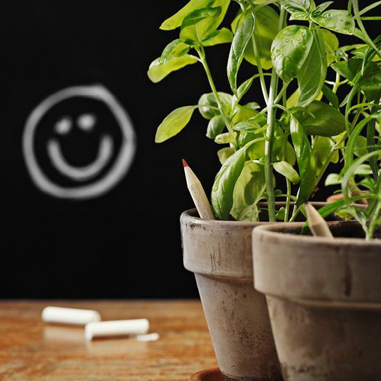 SPROUT - Multifarbstift mit Etui