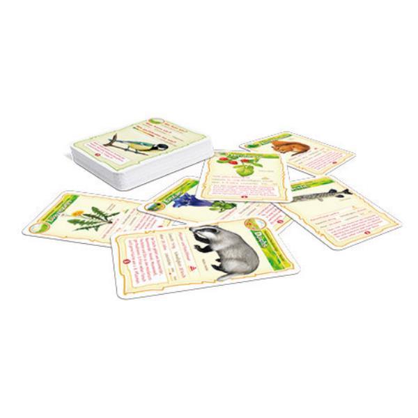Lernspiele ´Abenteuer Schule´ - Natur Bingo, in Faltschachtel