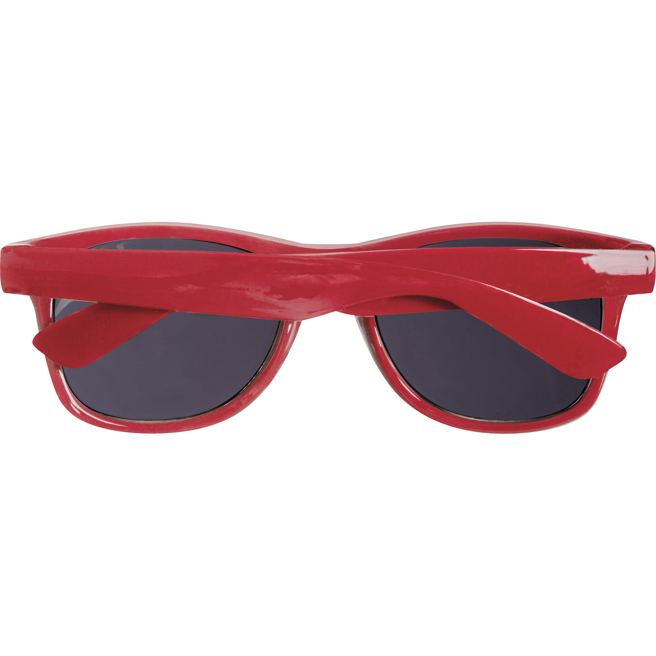 PET Sonnenbrille Illinois
