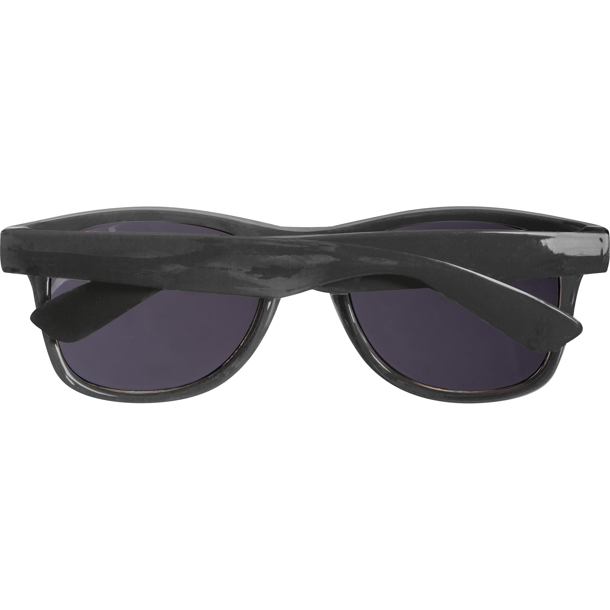 PET Sonnenbrille Illinois