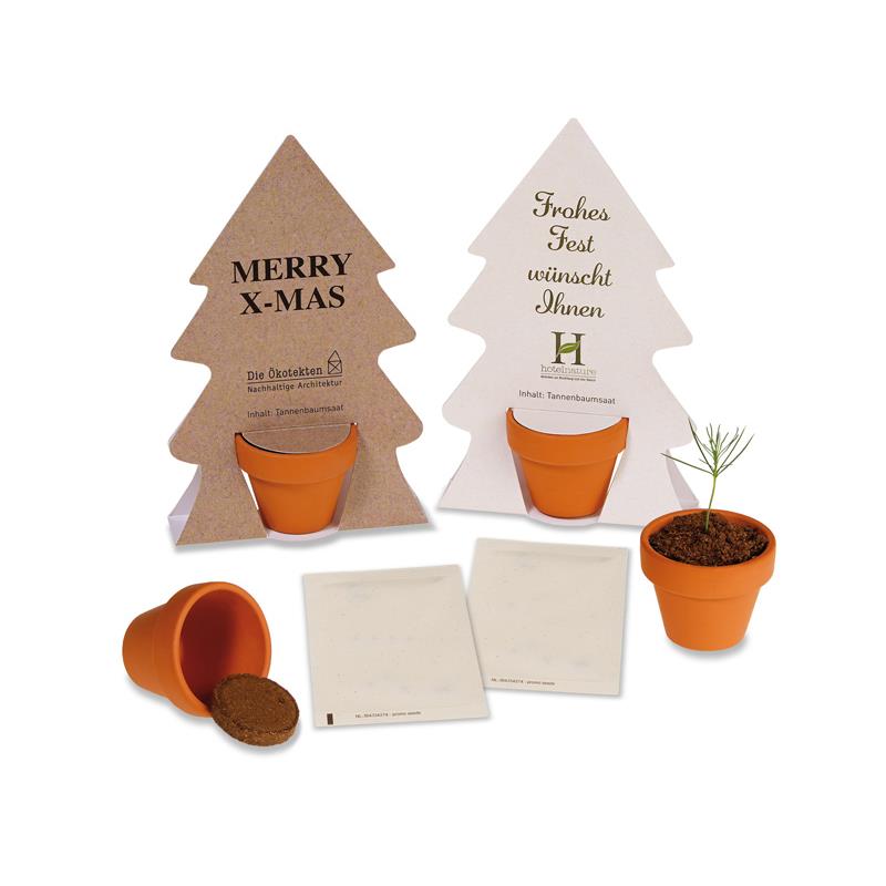 Tiny Tree - Samenset