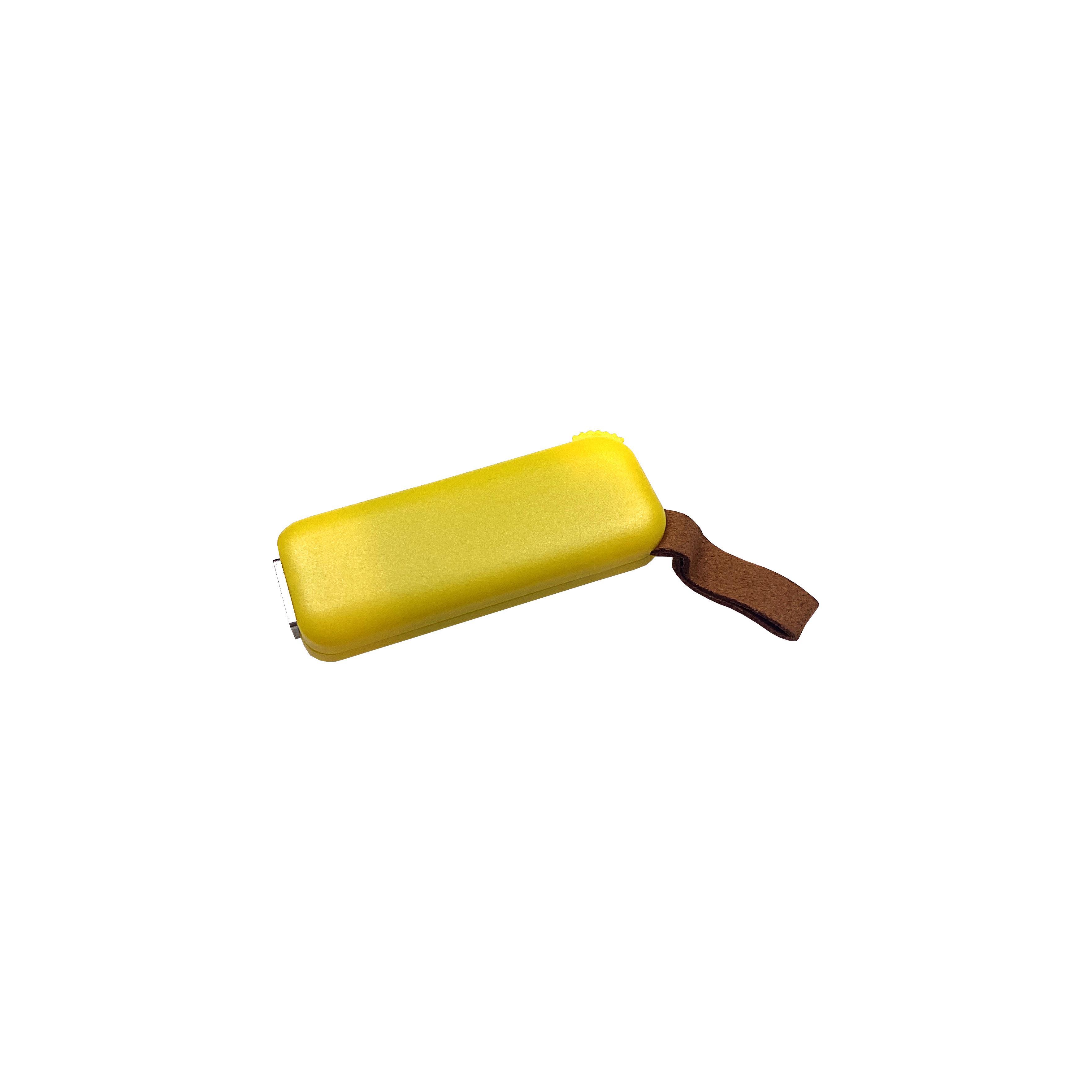 Modell F100 USB 2.0 Flash Disk   8 GB Gelb